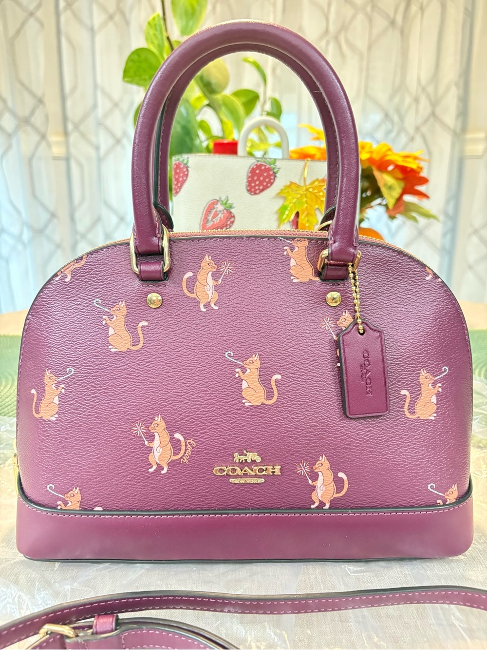 Coach Party Cat set - Picture 2 of 12